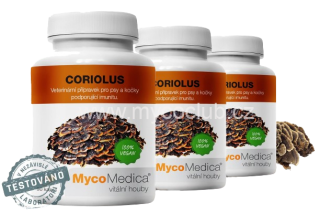MycoMedica Coriolus 40% extract, 3-pack